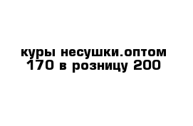 куры несушки.оптом 170 в розницу 200